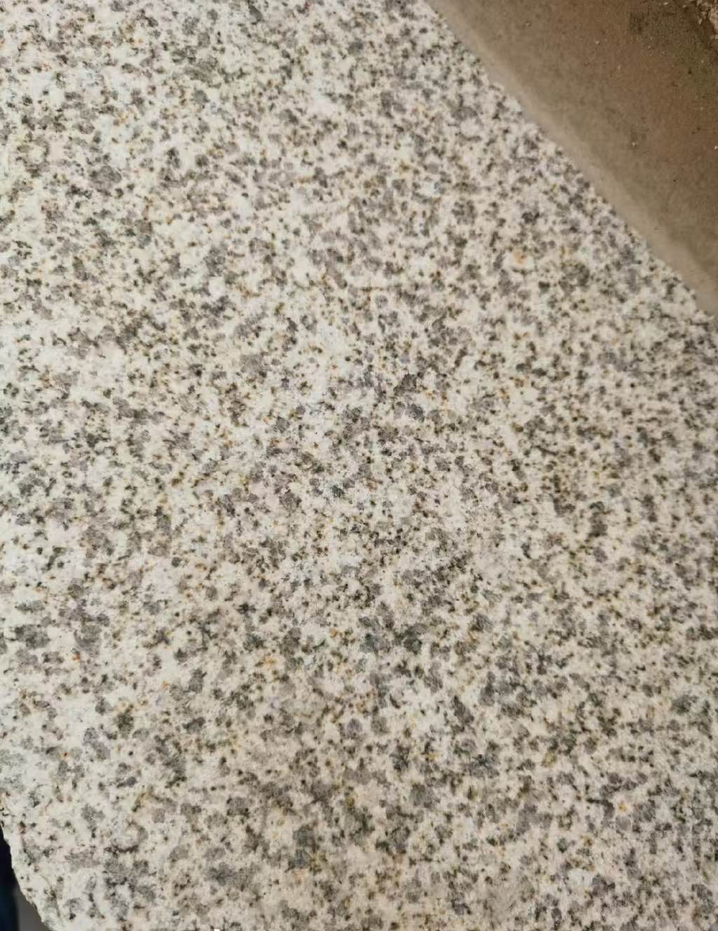 七台河 黄金麻中黄光面