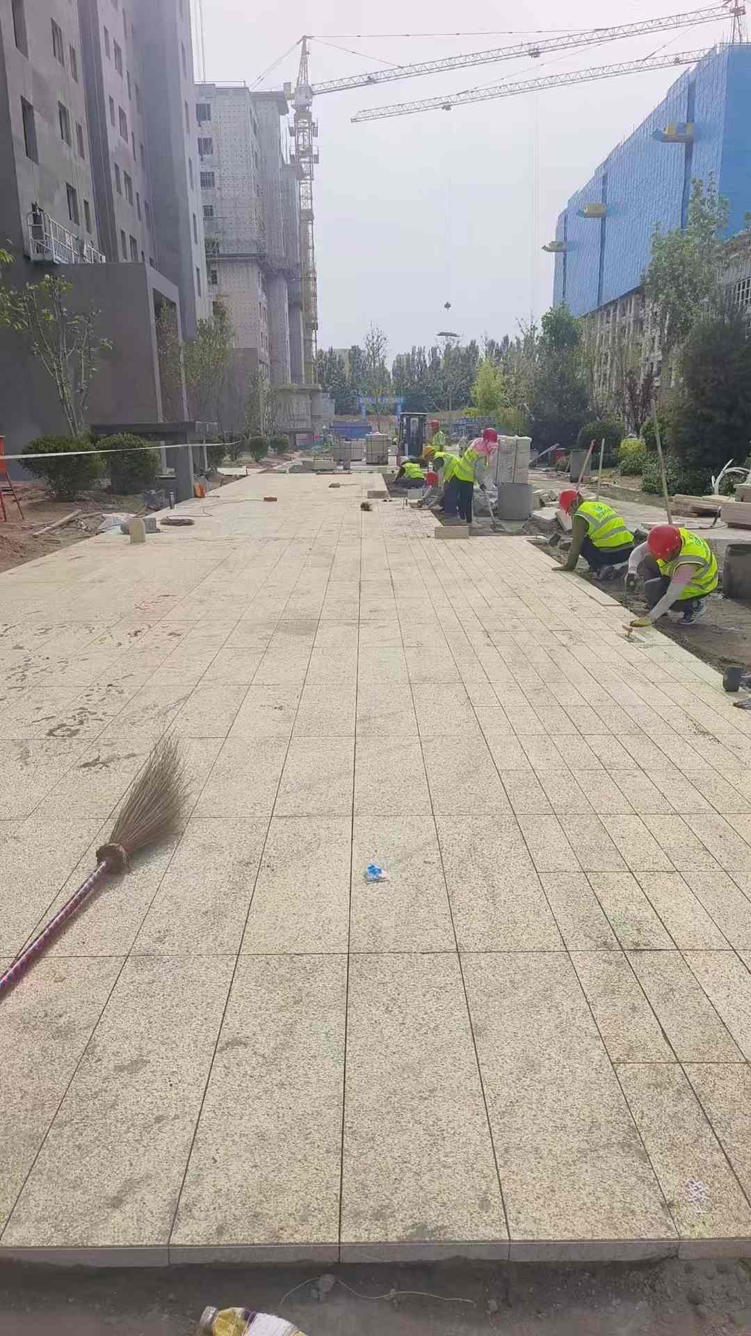 七台河黄金麻荔枝面地铺案例
